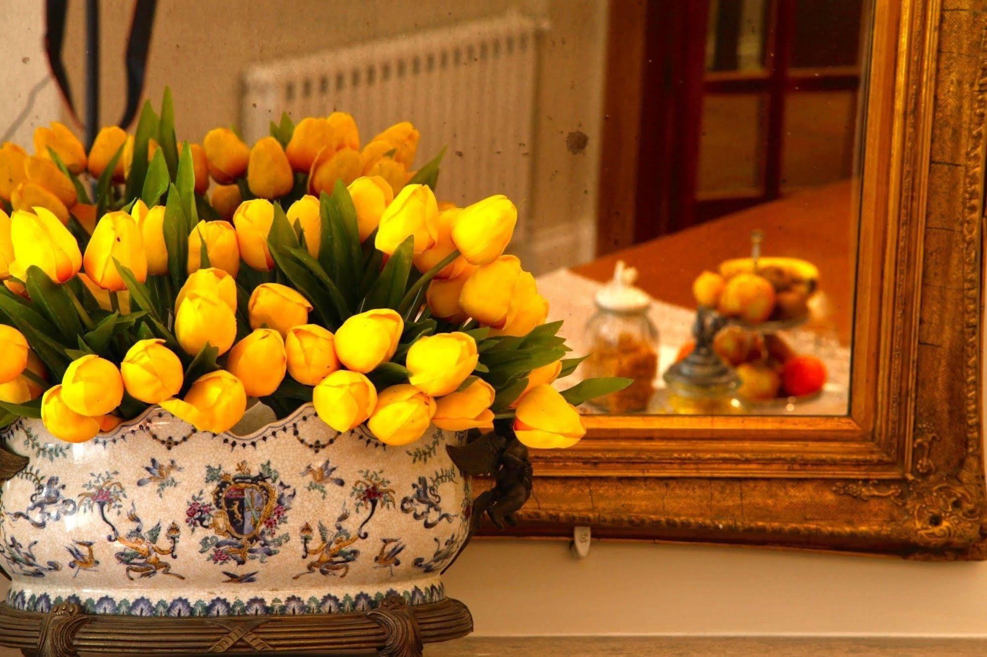 La Villetta Suite Ciampino Ngoại thất bức ảnh
